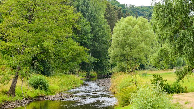 Une petite rivière coule à travers un paysage vert et boisé.