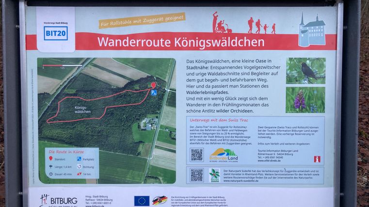 Un panneau d'information sur le "circuit de randonnée Königswäldchen" avec des indications sur l'itinéraire et le Swiss Trac