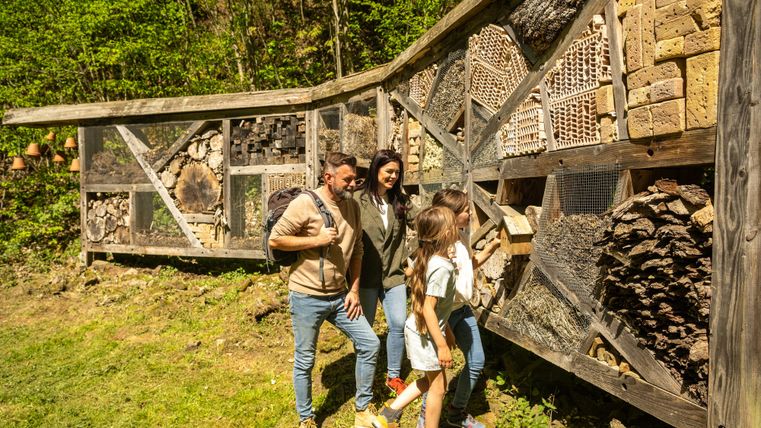 A family is exploring an insect hotel outdoors. It is made of various natural materials and is located in a green setting.