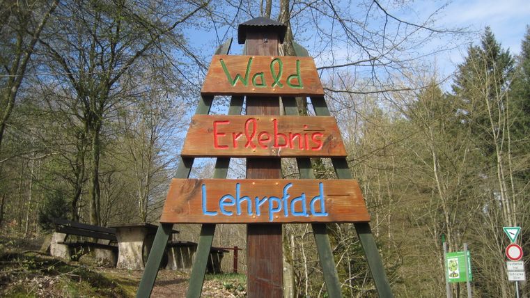 Panneau en bois avec l'inscription 'Wald Erlebnis Lehrpfad' dans la forêt.