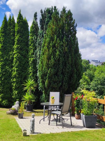 Een gezellige tuin met een zitgedeelte.