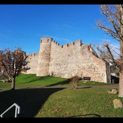 An old stone city wall, surrounded by grasses and trees. The sky is clear and blue, brightening the scene.