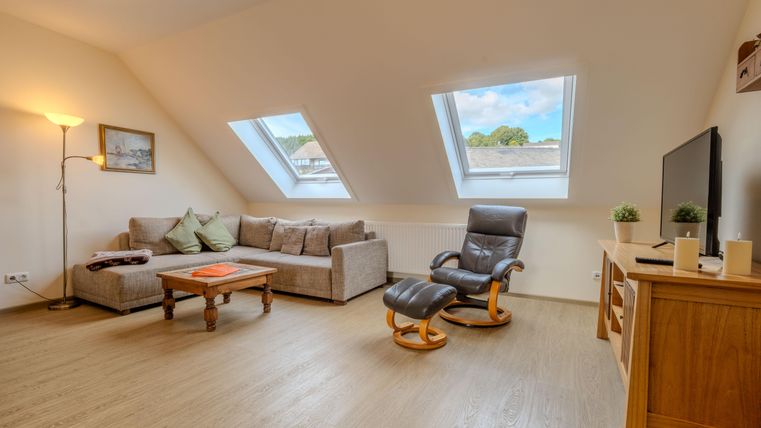 Vakantiewoning Veldmuis - Een gezellige woonkamer met een comfortabele bank en een televisie. Twee dakramen zorgen voor veel licht en uitzicht.