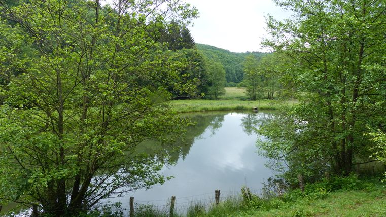 Un petit étang entouré d'arbres verts et de prairies sur le sentier Irsen.