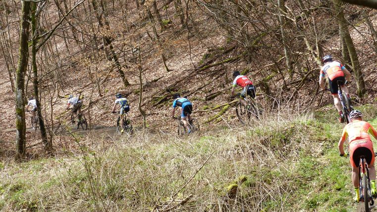Een groep fietsers rijdt over een smal pad door een bosrijk gebied. Het landschap is omringd door vers groen en bomen.