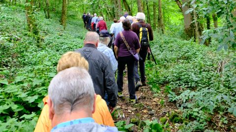 A group of people is hiking on a narrow path through a green forest. Trees and lush undergrowth surround the way.