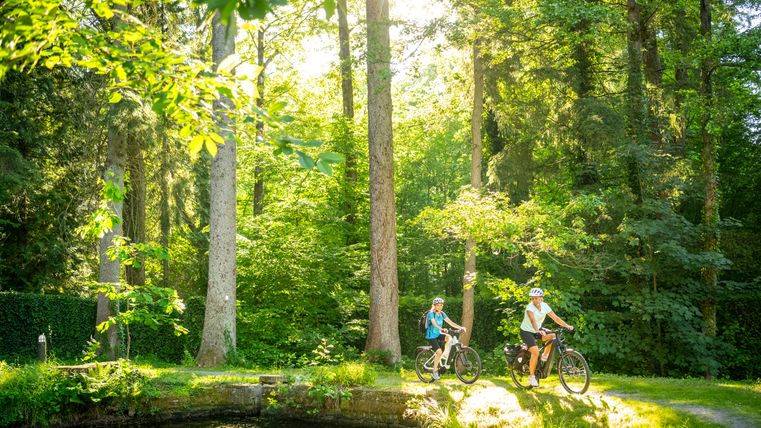 Zwei Radfahrer fahren durch einen sonnigen Wald.