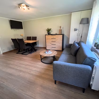 Un salon moderne avec un canapé gris, une table ronde et une table à manger. Les murs sont clairs, et il y a des plantes et une télévision dans la pièce.