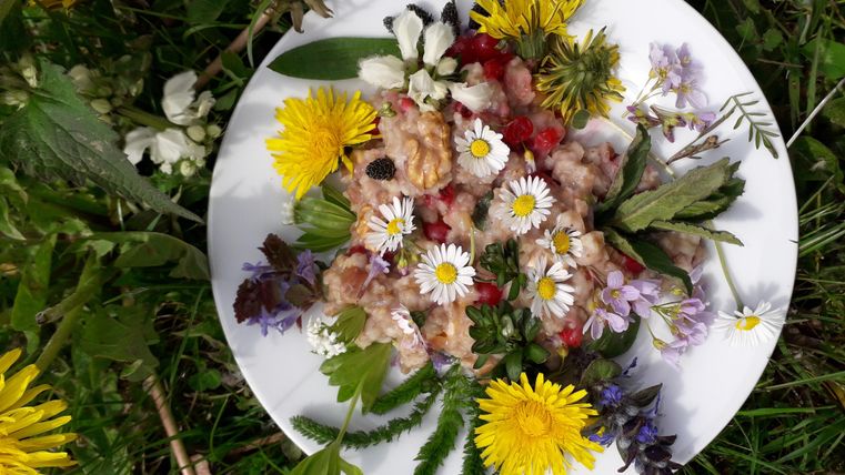Ein Teller mit einem bunten Mix aus essbaren Blumen und Kräutern liegt auf grünem Gras. Die frischen Zutaten sind dekorativ angerichtet und verleihen dem Bild eine lebendige, natürliche Atmosphäre.