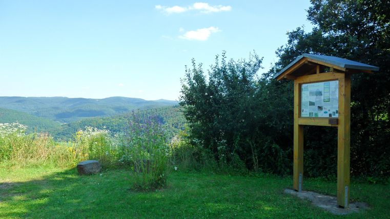 Ein Aussichtspunkt mit einem Informationsschild in einer grünen Umgebung. Im Hintergrund sind sanfte Hügel und ein blauer Himmel zu sehen.