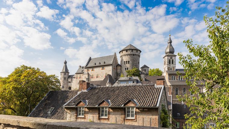 Eine beeindruckende Burg mit Türmen und verschiedenen Gebäuden. Im Vordergrund sieht man Häuser und Bäume vor einem blauen Himmel.