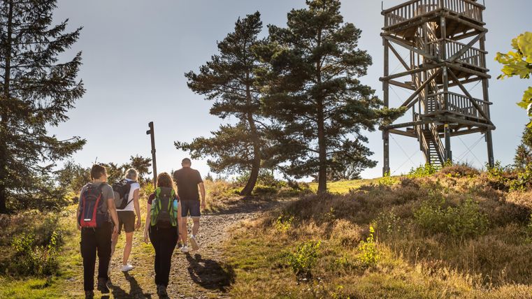 Une tour d'observation en pierre se dresse entre de grands arbres. Le ciel est clair et bleu, et les environs semblent calmes et préservés.