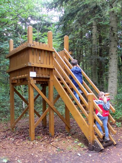 Deux enfants montent sur une plate-forme en bois dans la forêt.