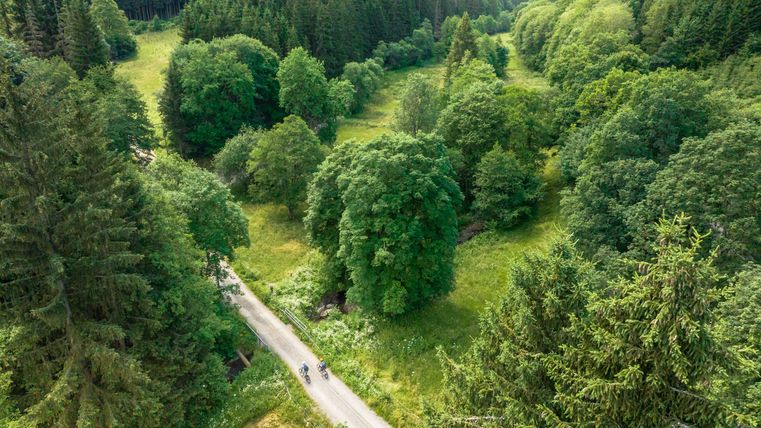 Aerial view of a green valley with trees and a path on which cyclists are riding.