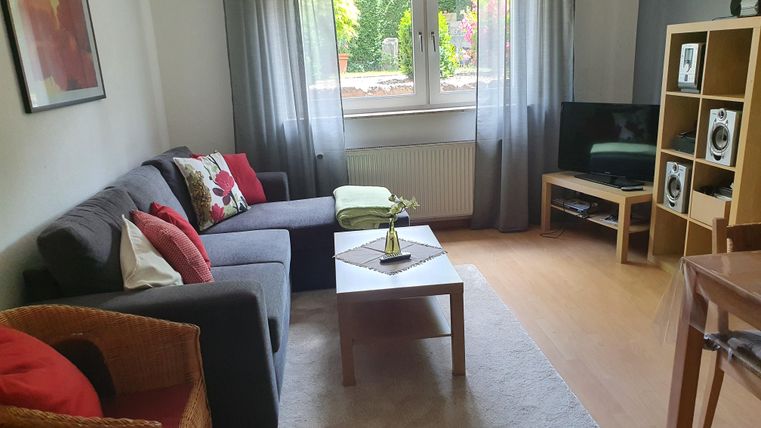 A cozy living room with a gray sofa, a wooden dining table, and a television. Large windows let in plenty of daylight and give the room an inviting atmosphere.