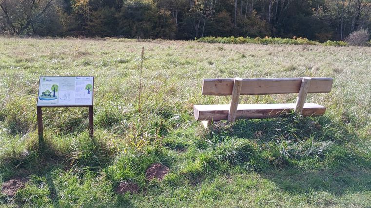 A wooden bench and an information sign on a meadow in the Southern Eifel Nature Park.
