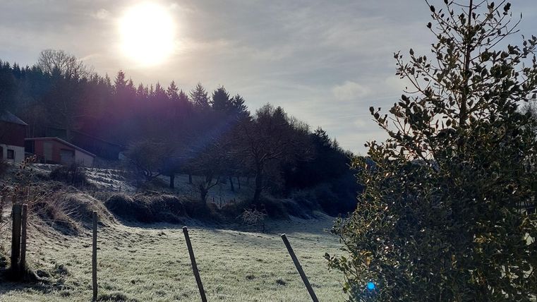 A frosty landscape with trees and a clear sky. The sun shines brightly over the gentle hills.