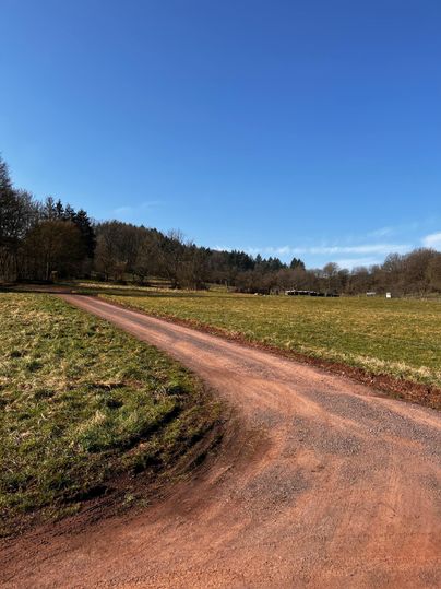 Een kronkelige weg leidt door een weiland onder een heldere blauwe lucht. Op de achtergrond zijn bomen en zachte heuvels zichtbaar.