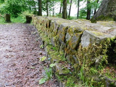 Römische Langmauer