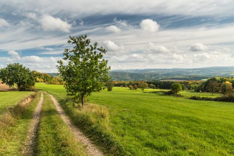 Landscape with country lane, trees and a wide view of hills under a cloudy sky.