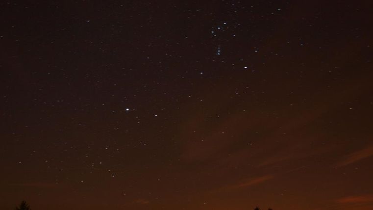 Ein klarer Nachthimmel mit vielen Sternen und dem Orion-Sternbild. Im Hintergrund sind silhouettierte Bäume zu sehen.