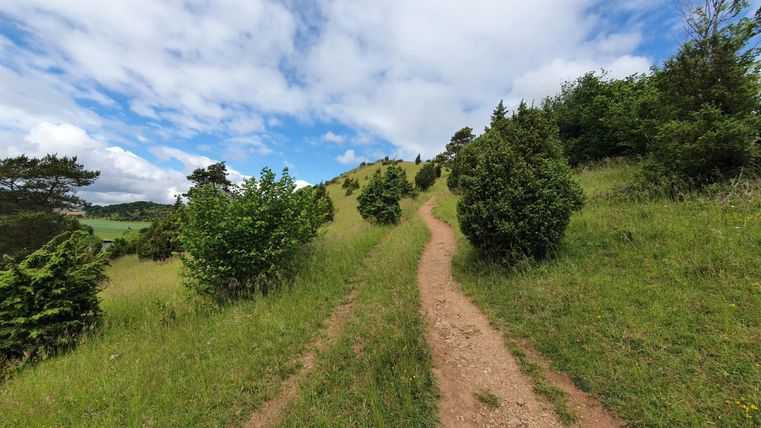 Wanderweg in der Eifeltoskana