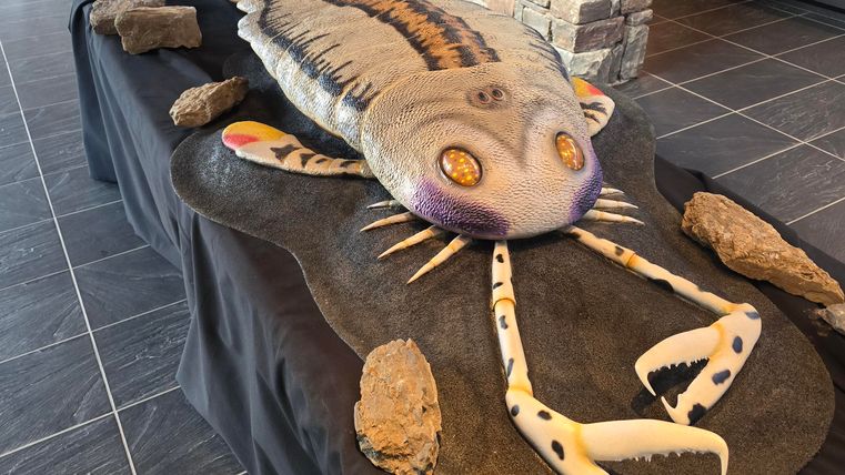Een grote, artistiek vormgegeven replica van een prehistorische zeebewoner ligt op een tafel. Omringd door stenen komt het beeld indrukwekkend en uniek over.