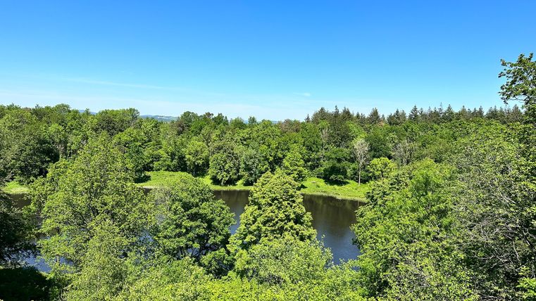 Blick auf einen Kratersee umgeben von dichtem Wald unter klarem blauem Himmel.