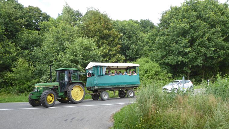 A tractor pulls a covered wagon with passengers on a country road. In the background, trees and green meadows can be seen.