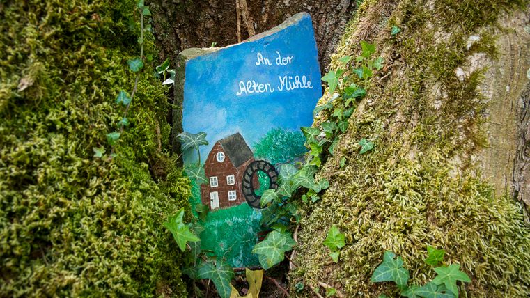 Beschilderde steen met molenmotief en letters ingebed in boomschors.