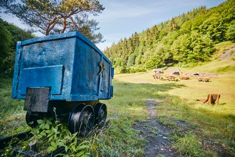 Een oude blauwe mijnwagen op rails voor een weiland met houten bankjes, omgeven door bos.