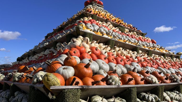 A large pyramidal tower made of pumpkins in various colors stands under a blue sky. The pumpkins are arranged in many shapes and sizes.