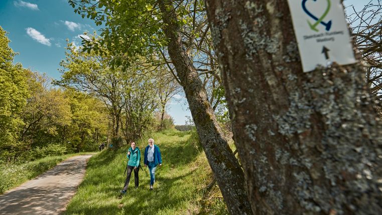 Zwei Personen wandern bei Sonnenschein auf einem Waldweg mit Wegemarkierung.