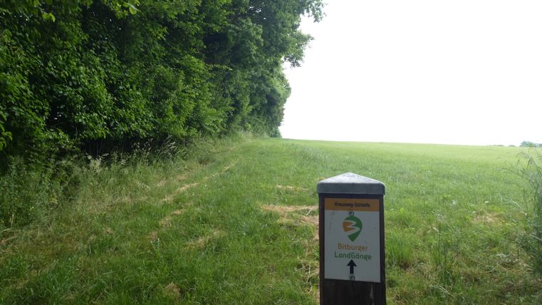 Waymarking van de Bitburger LandGänge op een weiland met bomen.