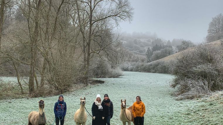 Ein Lama steht auf einer Wiese neben einem Holzstapel. Im Hintergrund sind Menschen und ein Verkaufsstand zu sehen.