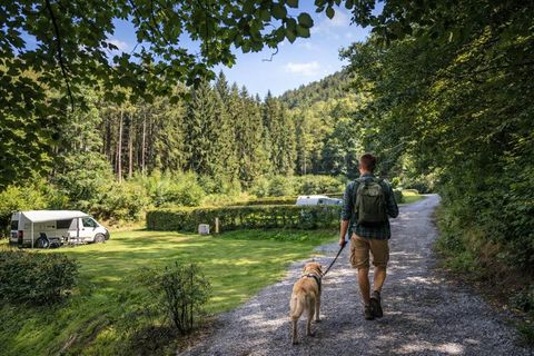 Un homme marche avec son chien sur un chemin forestier. En arrière-plan, on peut voir des camping-cars et des arbres verts.