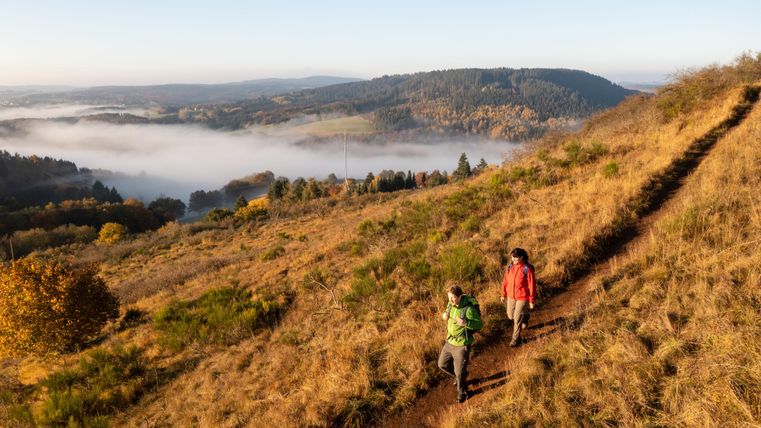 Two hikers walk along a hill, surrounded by golden grass and gentle hills. In the background, fog and rolling landscapes can be seen.