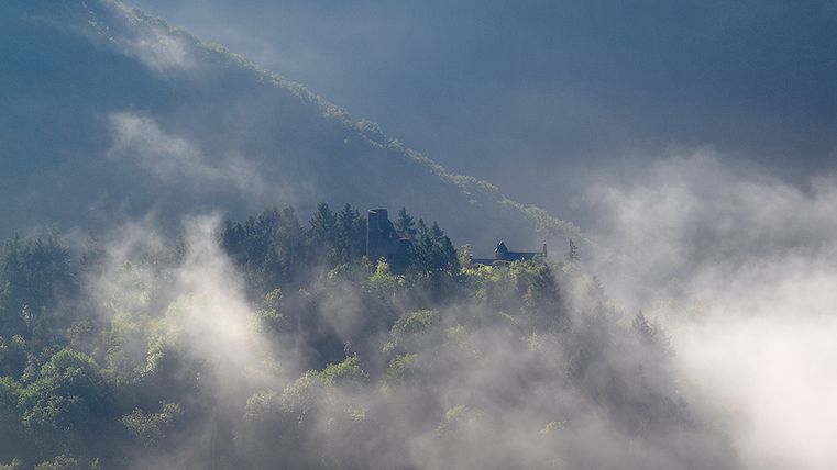 Kasteel Falkenstein in de mist op een beboste heuvel.