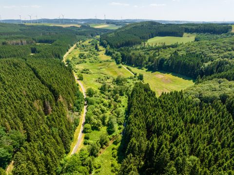 Een schilderachtig woudlandschap met groene bomen en een heldere lucht. In de vallei loopt een smalle rivierbedding, omgeven door weelderig groen.