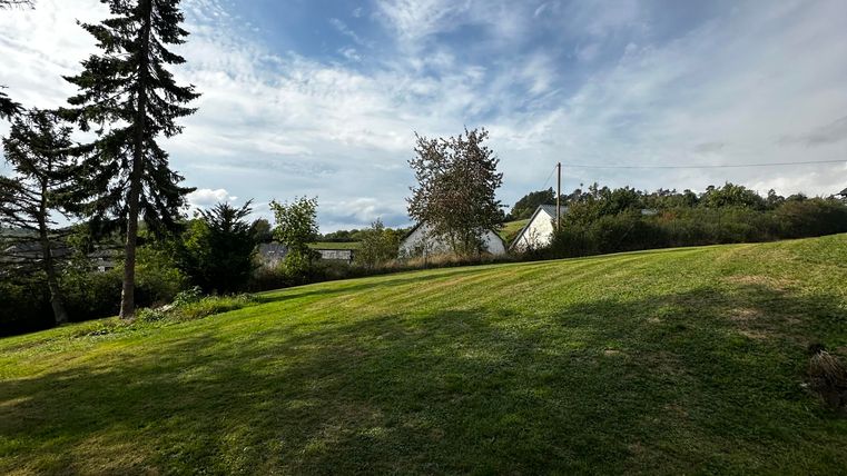 Een groene weide met enkele bomen en een heldere lucht. Op de achtergrond zijn een paar gebouwen en struiken te zien.