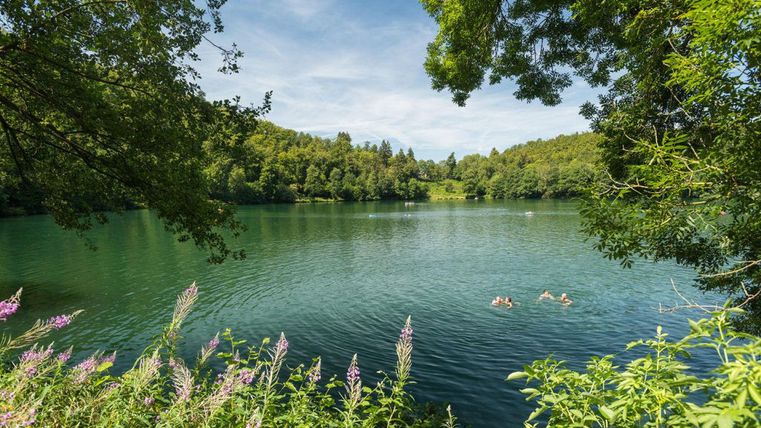 Een rustige vijver omringd door groene bomen en kleurrijke bloemen. Enkele personen zwemmen in het heldere water.