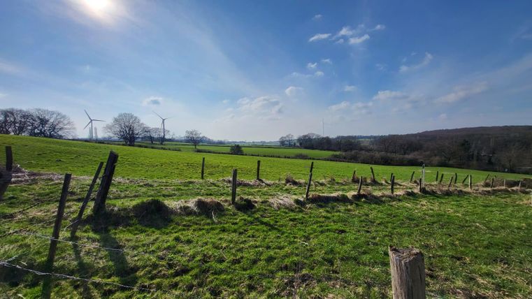 Een wijd groen landschap met zachte heuvels en een heldere blauwe lucht. Op de achtergrond zijn windturbines zichtbaar.