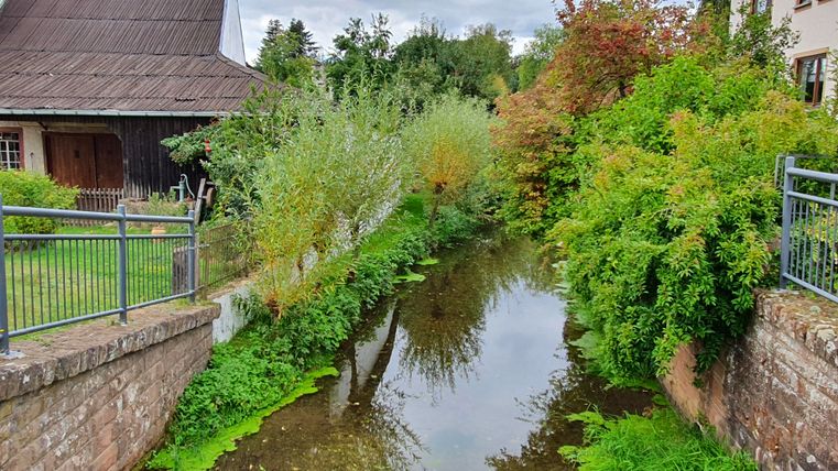 Ein kleiner Bach fließt zwischen grünen Büschen und einem alten Gebäude mit Holzdach.
