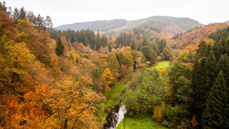 Herfstlandschap in het Liesertal met kleurrijke bomen en een riviertje.