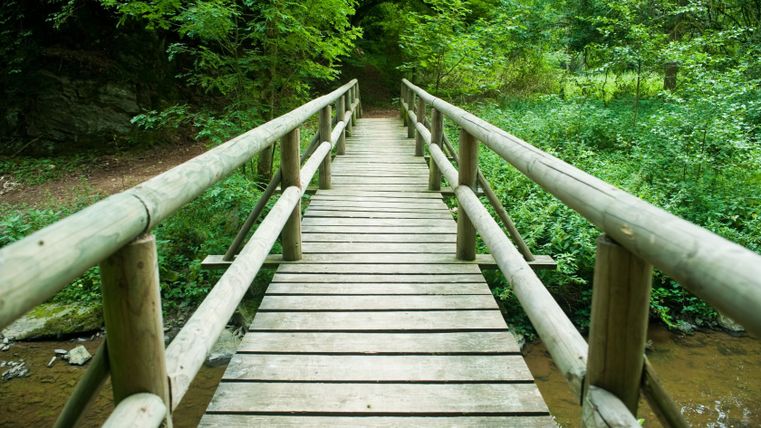 Pont en bois sur un petit ruisseau dans la forêt.
