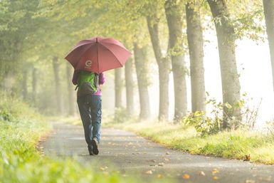 Eine Frau hat einen Regenschirm aufgespannt und geht einen Weg entlang.