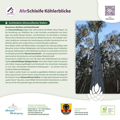 Une image portrait d'un grand arbre, entouré d'autres arbres dans la forêt. Il s'agit d'une station d'information sur les pins résilients au climat.