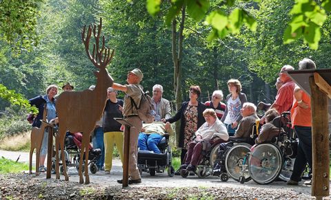A group of people, including wheelchair users, is standing in a forest. A guide is pointing to a metal figure of a deer.