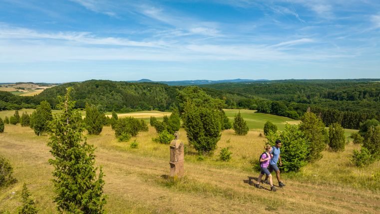 Two hikers on a path in a hilly landscape with trees and a wide sky.