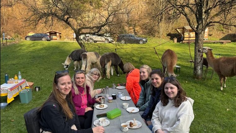 Eine Gruppe von sechs Personen sitzt an einem Tisch im Freien, während einige Tiere im Hintergrund grasen. Die Szene findet in einer landschaftlichen Umgebung mit Bäumen statt.